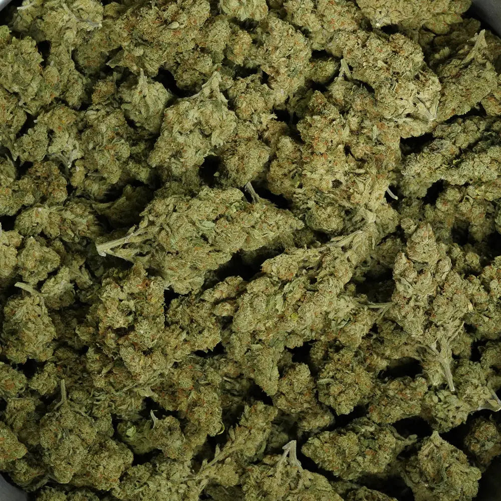 AMNESIA Herb And Cloud