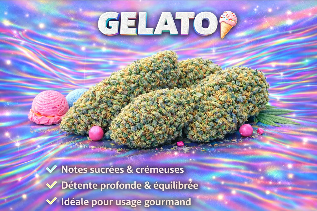 GELATO Herb And Cloud