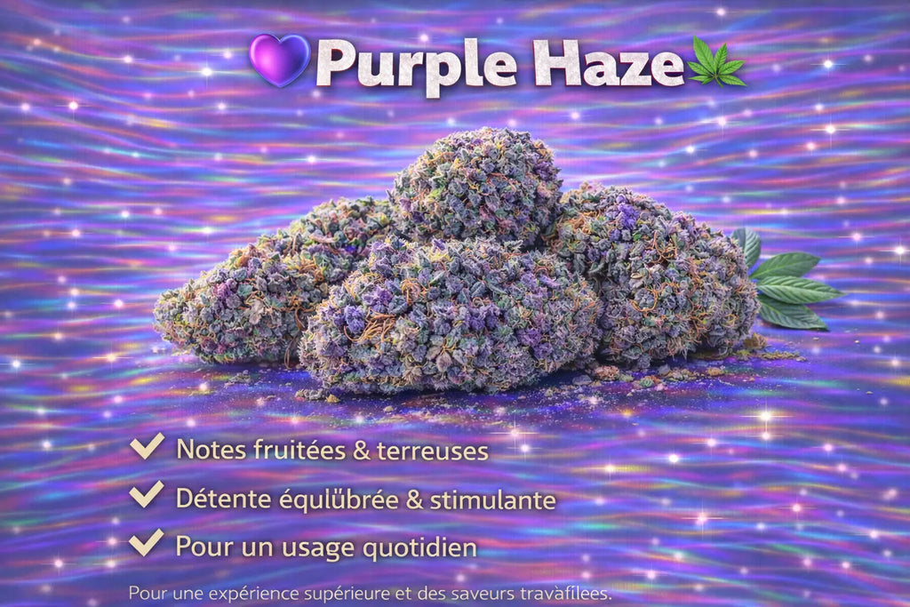 PURPLE HAZE Herb And Cloud