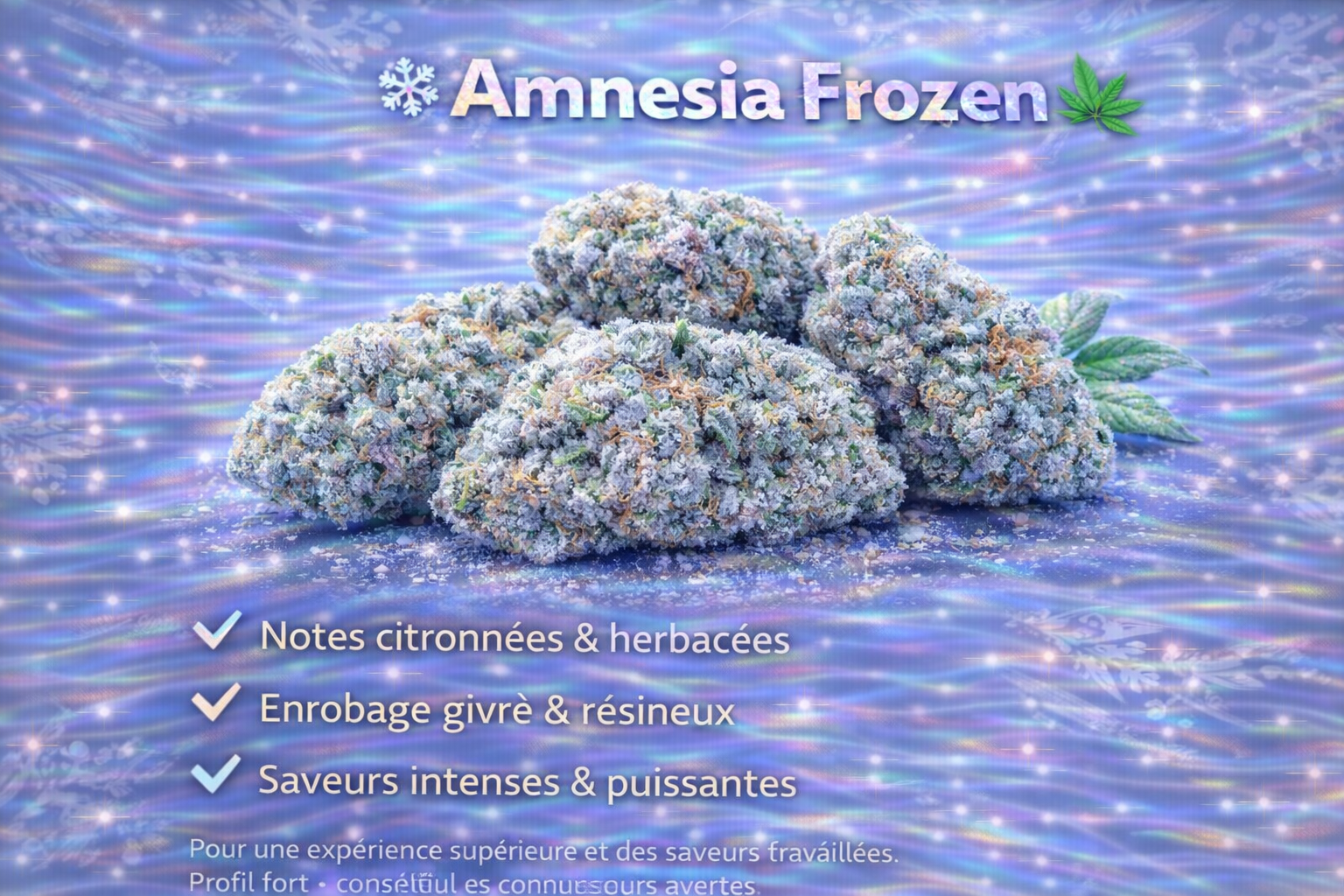 AMNESIA FROZEN