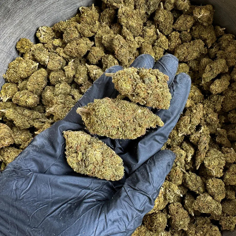 SOUR CHEM Herb And Cloud